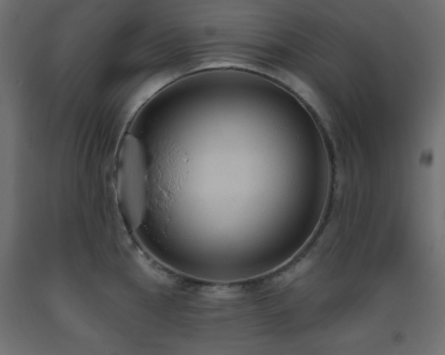X0000093561145200710151102