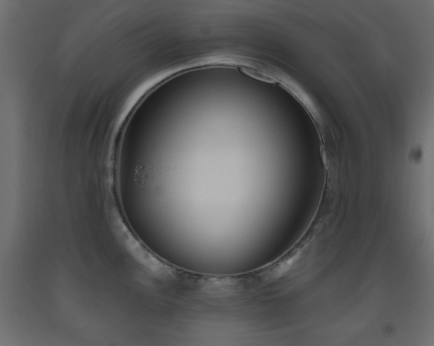 X0000093561148200710151102