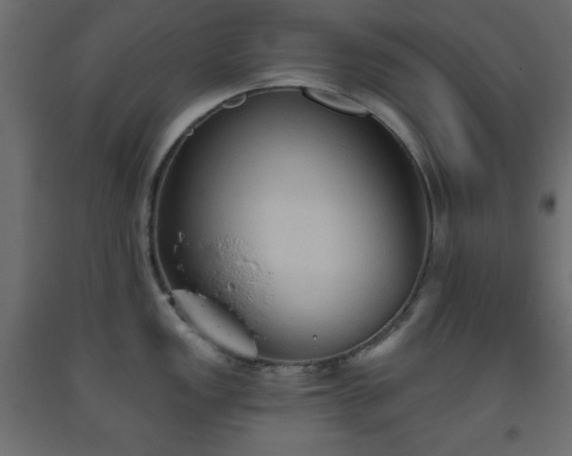 X0000093561149200710151102