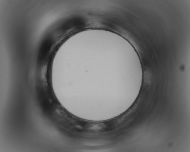 X0000093561150200710151102