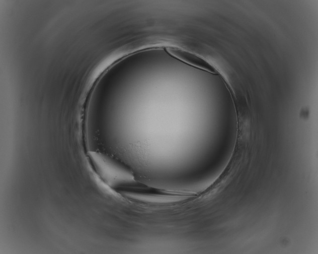 X0000093561151200710151102