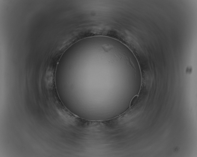 X0000093561154200710151101