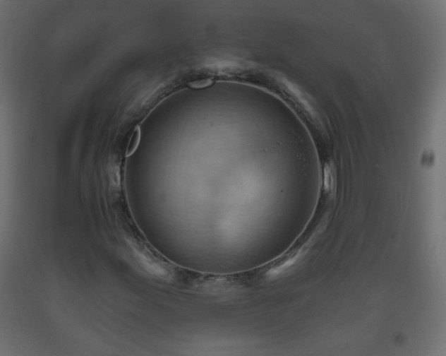 X0000093561155200710151101