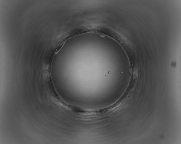 X0000093561156200710151101