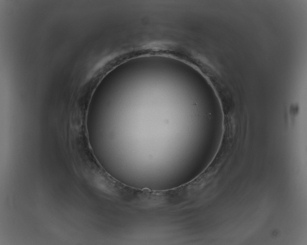 X0000093561158200710151101