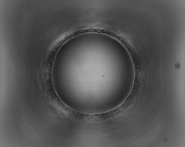 X0000093561159200710151101