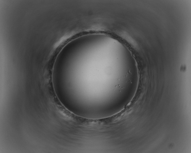 X0000093561160200710151101