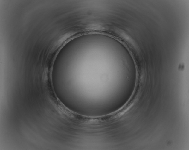 X0000093561161200710151101