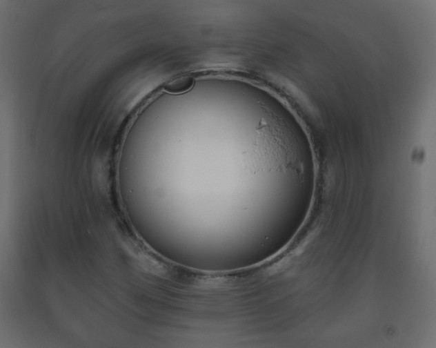 X0000093561162200710151101