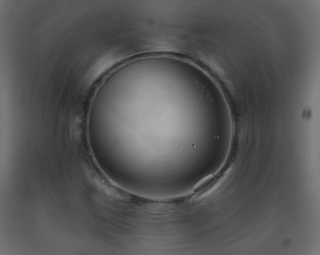 X0000093561163200710151101