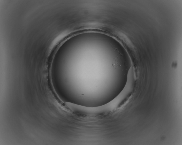 X0000093561164200710151101