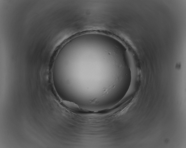 X0000093561165200710151101
