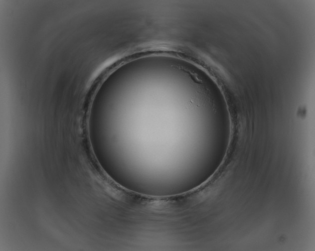 X0000093561166200710151101