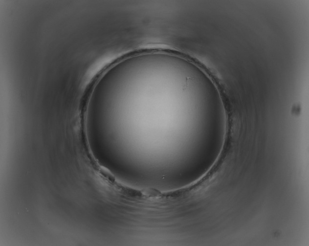 X0000093561167200710151101