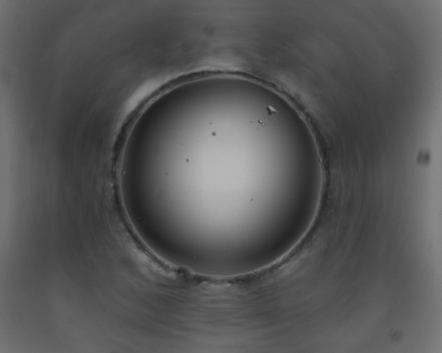 X0000093561168200710151101