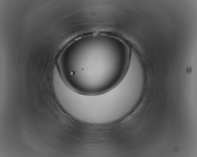 X0000093561169200710151101