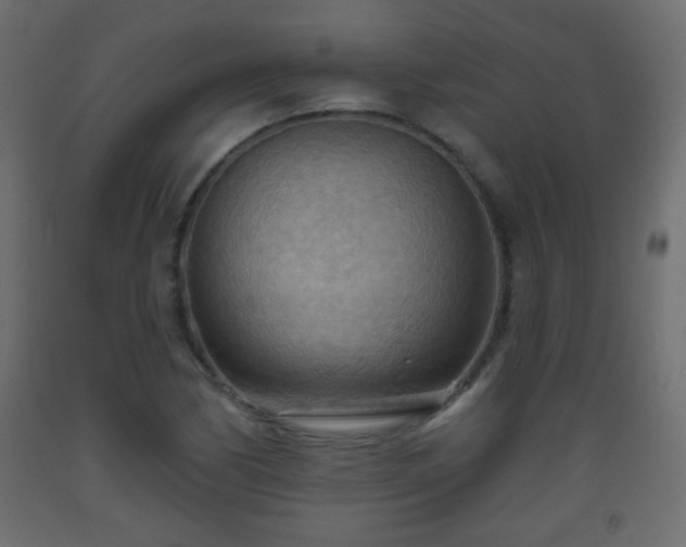 X0000093561170200710151101