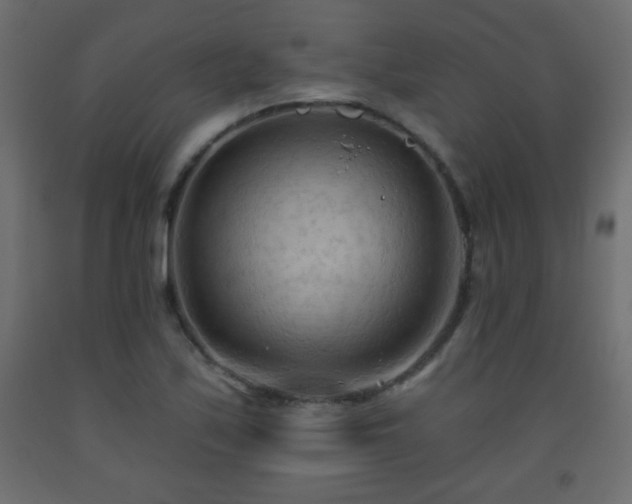 X0000093561171200710151101
