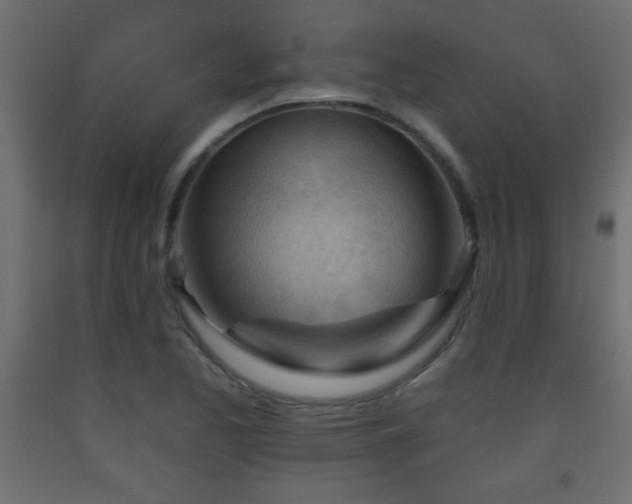 X0000093561173200710151101