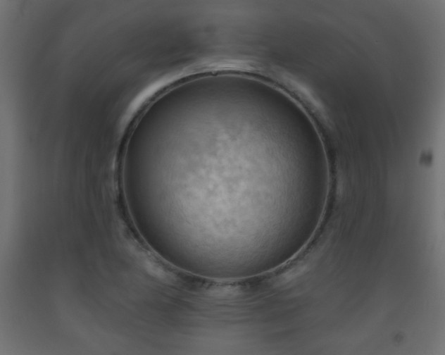 X0000093561174200710151101