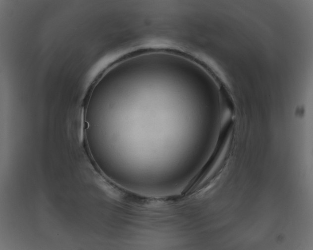 X0000093561175200710151101