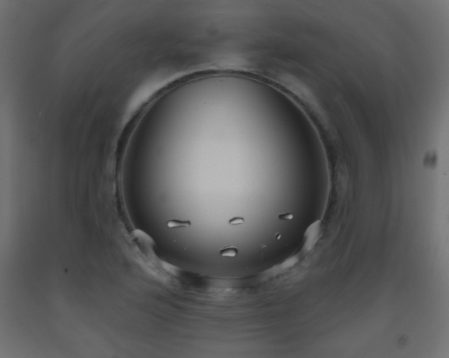 X0000093561176200710151101