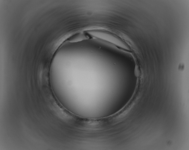 X0000093561177200710151101