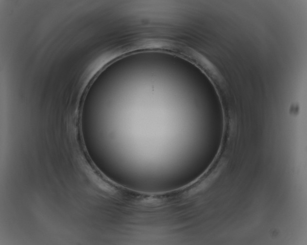 X0000093561178200710151101