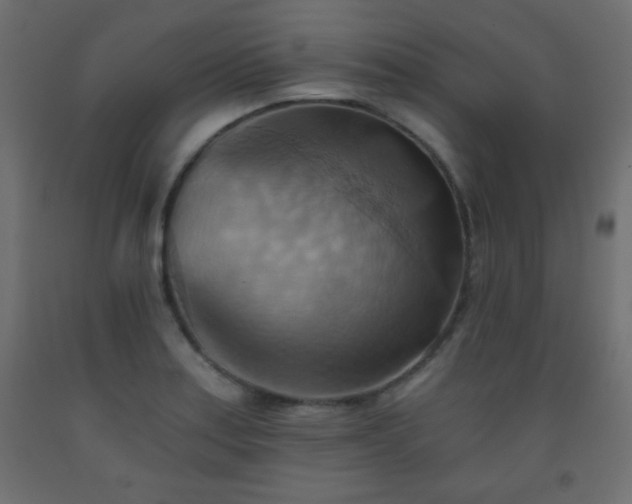 X0000093561179200710151101