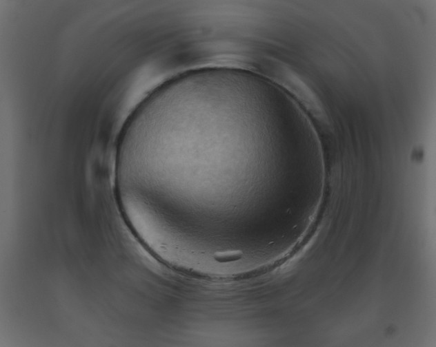 X0000093561180200710151101