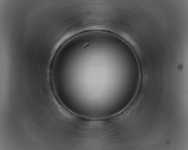 X0000093561181200710151101
