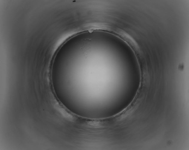 X0000093561182200710151101