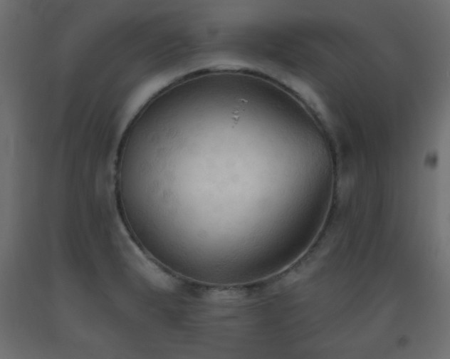 X0000093561183200710151101