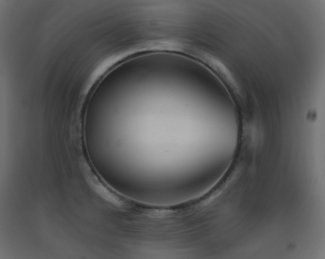 X0000093561184200710151101