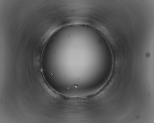 X0000093561185200710151101