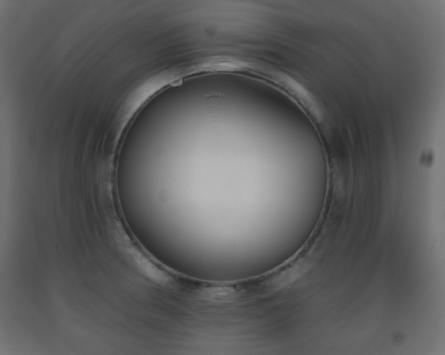 X0000093561186200710151101