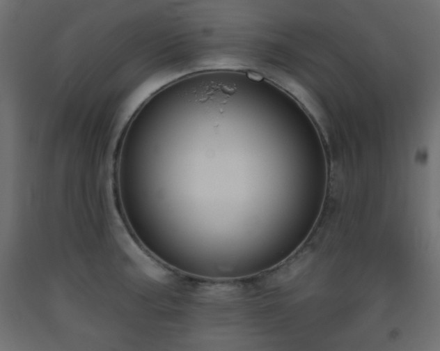 X0000093561187200710151101