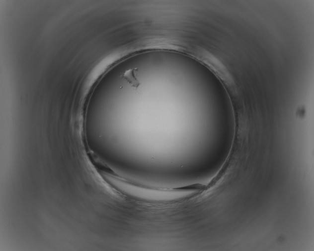 X0000093561188200710151101