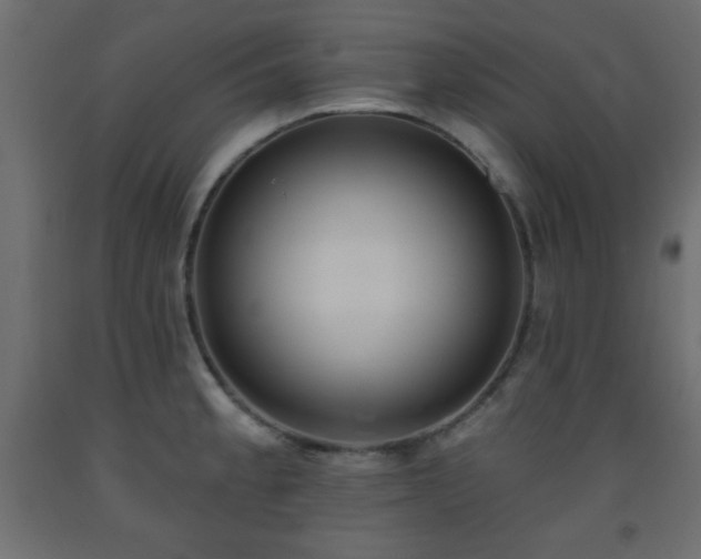 X0000093561189200710151101