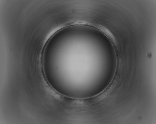 X0000093561190200710151101