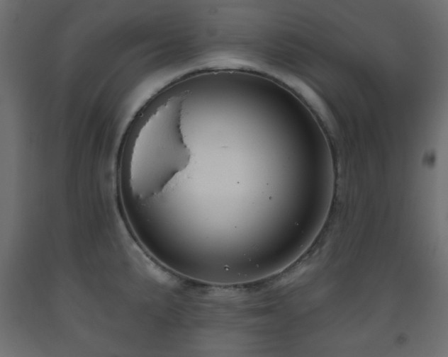 X0000093561191200710151101