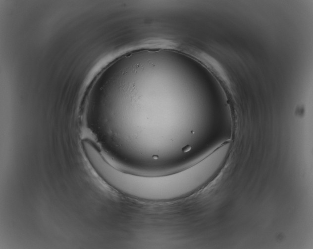 X0000093561192200710151101