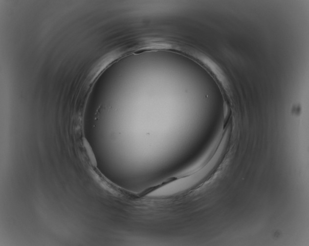 X0000093561193200710151101