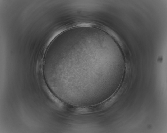 X0000093561194200710151101