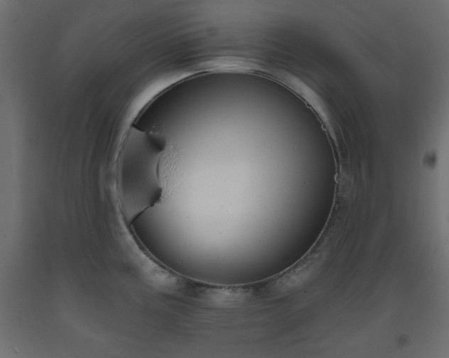 X0000093561195200710151101