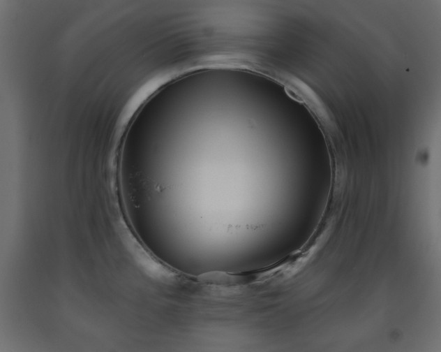 X0000093561196200710151101