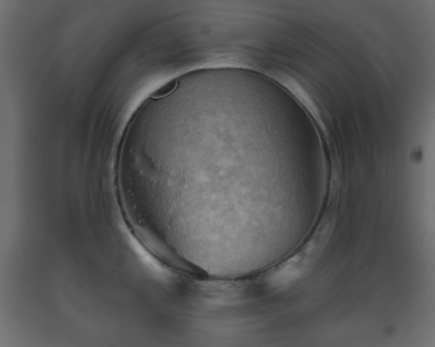 X0000093561197200710151101