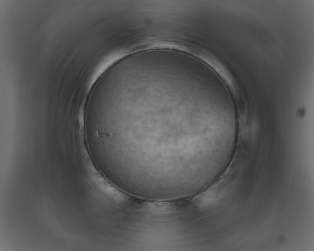 X0000093561198200710151101