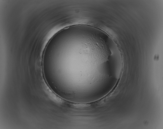 X0000093561200200710151101