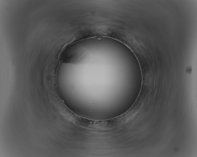 X0000093561201200710151100